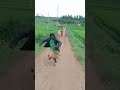 AHAHO UREMERA MBEGA ICYINIMBA KORA HANO Ngarambecomedy Comedy Comedyfilms M23 Funny AHAHO UREMERA MBEGA ICYINIMBA KORA HANO Ngarambecomedy Comedy Comedyfilms M23 Funny