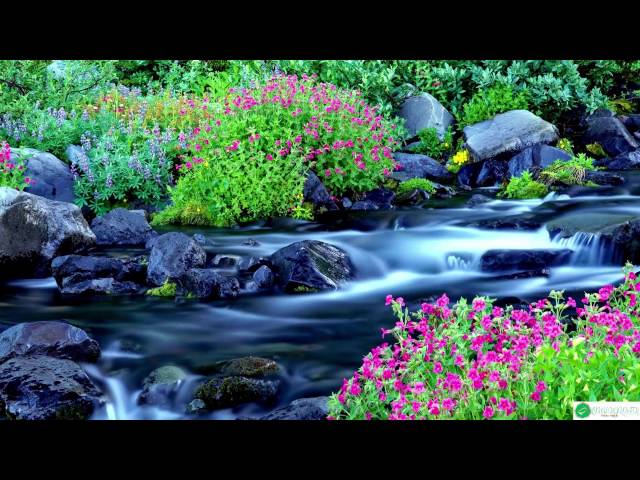 10 HOURS Relaxation Music With Waterfall Sounds for Study, Meditation, Sleep