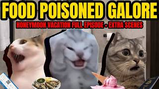 CAT MEMES: FOOD POISON GALORE | HONEYMOON VACATION SPECIALS!!!