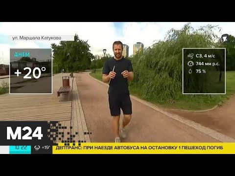 "Утро": горожан предупредили о кратковременном дожде - Москва 24