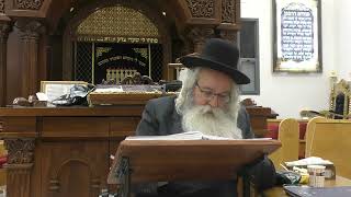 עץ חיים שער כ"ב שער מוחין דקטנות פרק ג' - המשך [21.06.26] הרב שלמה אלמליח