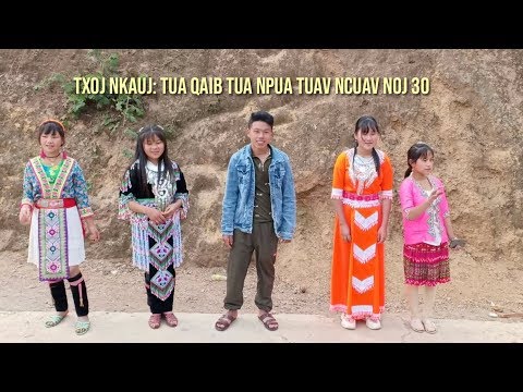 Video: Nqaij Qaib Hauv Ncuav