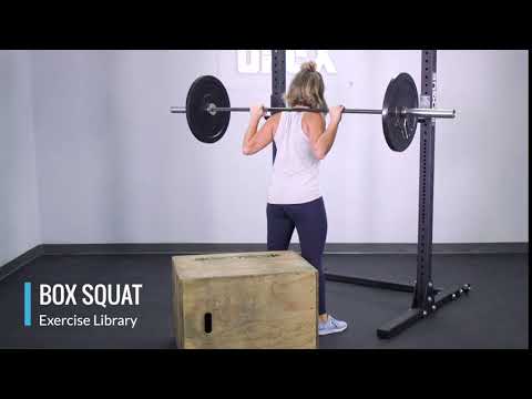 Box Squat - OPEX Exercise Library - YouTube