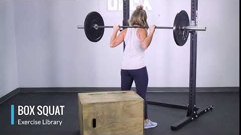Box Squat - OPEX Exercise Library
