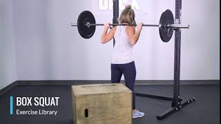 Box Squat - OPEX Exercise Library