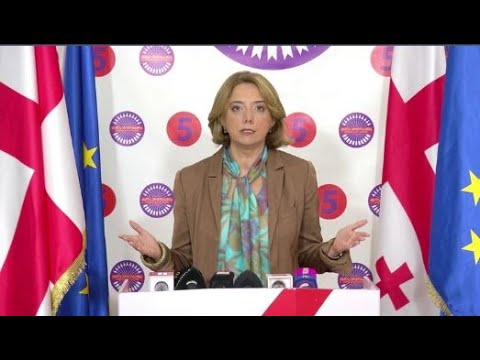 სალომე სამადაშვილი ზურა ჯაფარიძეს ენმ-ს ამომრჩევლისთვის ბოდიშის მოხდას სთხოვს