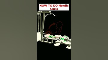 FANTASTIC WORKOUT FOR...! The best way to do Nordic curls.