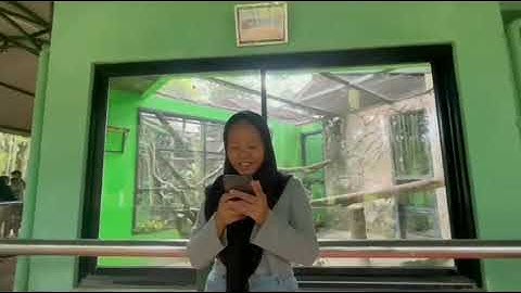 tugas video informatika kelompok 5 kelas 9B