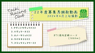 【22年産】調教動画㉖　BTC屋内直線コース　2024年4月上旬撮影