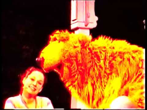 Bear In The Big Blue House Live Disney MGM Studios March 2000