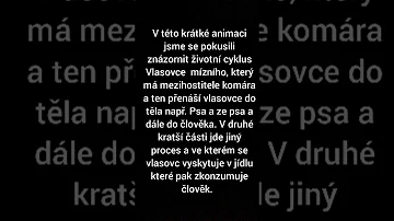 Co je životní cyklus?