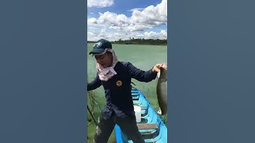 LONG VLOGS #4 - trải nghiệm thực tế  Câu cá đập Sông Ray