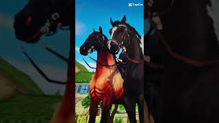 #AmadeaShadowsky #sso #starstable #montage de fou #chevaux #Kyria #frison #mv