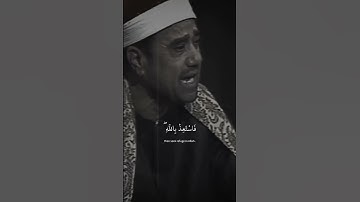 الشيخ راغب مصطفي من سوره فصلت ❤️