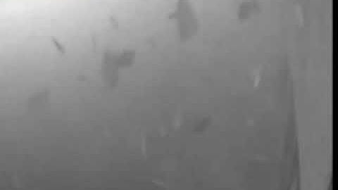 Buncefield c5 Video Evidence