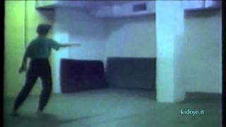 Stillpointer 1988 Tai Chi Chuan- Lee Style 14