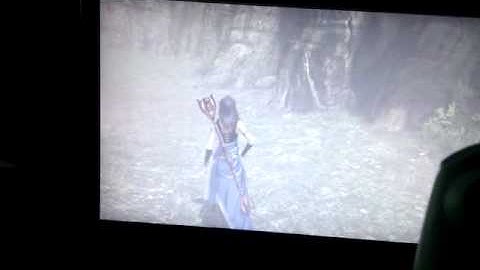 Final fantasy XIII bug