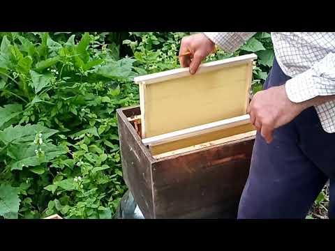 დემარის მეთოდი.(ნაყრობის საწინააღმდეგო მეთოდი).