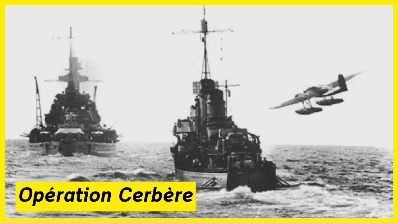Manches En Pierre CERBERUS Atlas – Réglables, Cuir Noir, Pour Entraînement