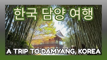150) 한국 담양 여행 - Damyang Trip in Korea / 죽녹원 - Juknokwon