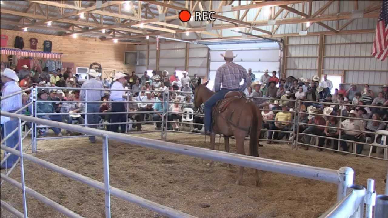 jack clark mule sale