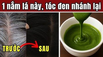 Cách trị tóc bạc sớm tận gốc chỉ sau 2 tuần