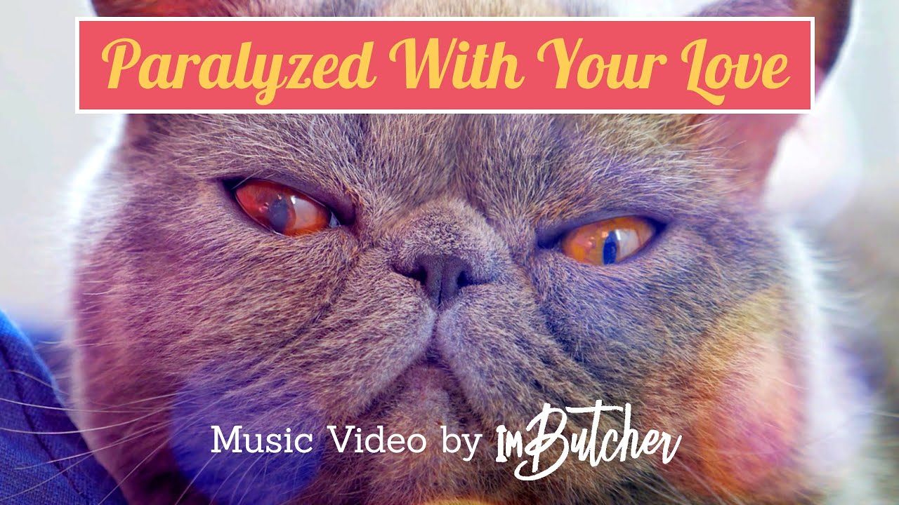 ImButcher (feat. Jasmine Knight) - Paralyzed With Your Love (Official Music Video)