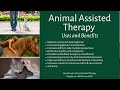 Animal Assisted Therapy | Continuing Education Series