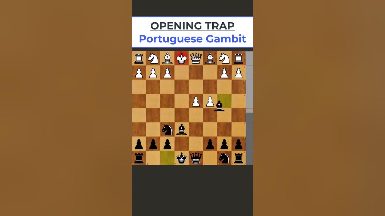 Portuguese Gambit - Chess Opening 