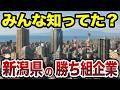 【日本地理】みんな知ってた？新潟県の「勝ち組」企業TOP20【ゆっくり解説】