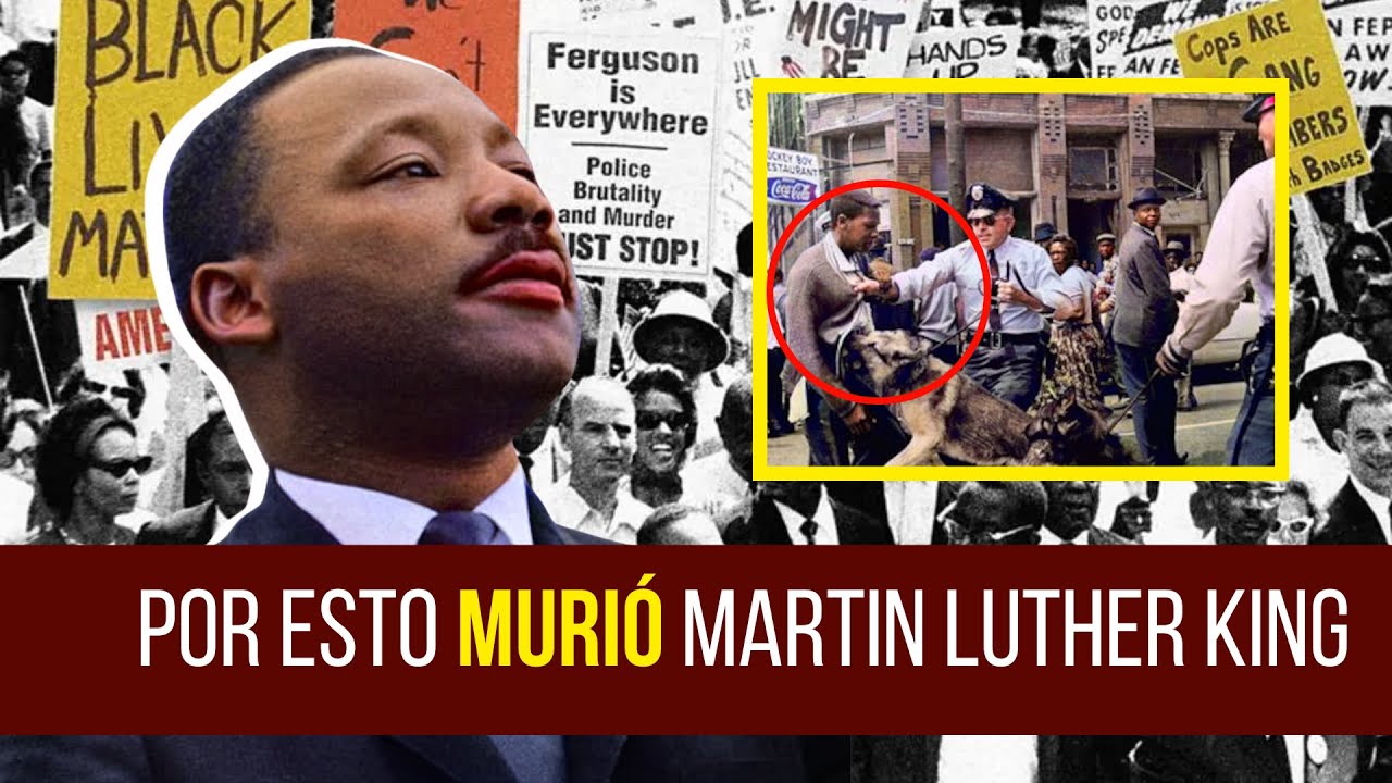 La lucha de los negros por la IGUALDAD - YouTube
