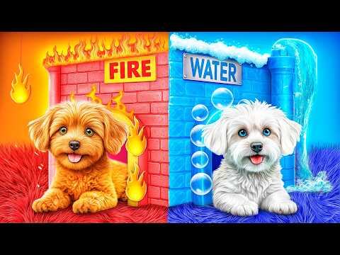 Building Secret Animal Houses! Fire vs. Water