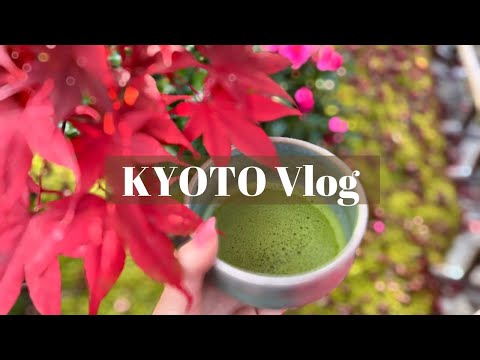 vlog. 秋の京都旅行 | 三味洪庵 | 紅葉 | 蹴上インクライン〜永観堂