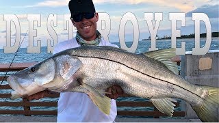 STRONG Fish Almost RIPS Rod Out of my HAND!!! (Juno Pier Snook Fishing)