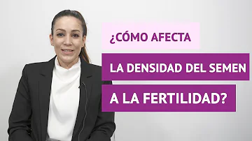 ¿El esperma fértil es espeso o líquido?