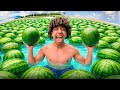 تحدى أكل البطيخ فى المسبح 