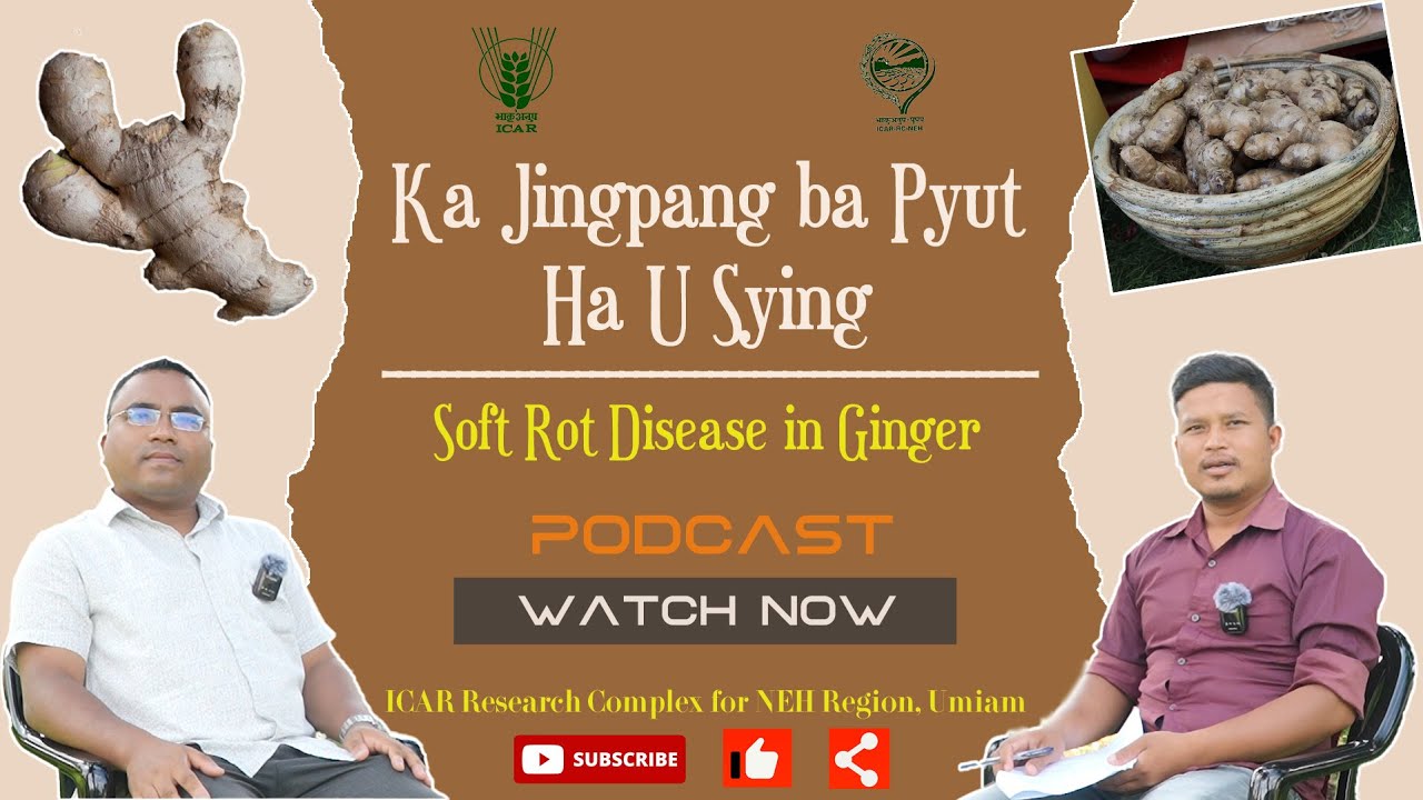 EP - 08 || Podcast on 