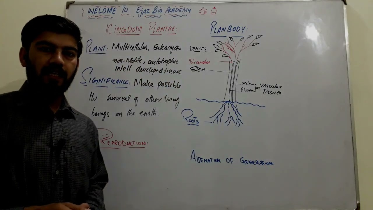 Introduction to Kingdom Plantae (Plants) | Evolutionary Sequence & Classification Flow Chart | SCORE