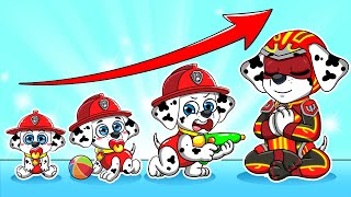 Paw Patrol Ultimate Rescue | Marshall GROWING UP Compilation! - Very Sad Story | Rainbow Friends 3