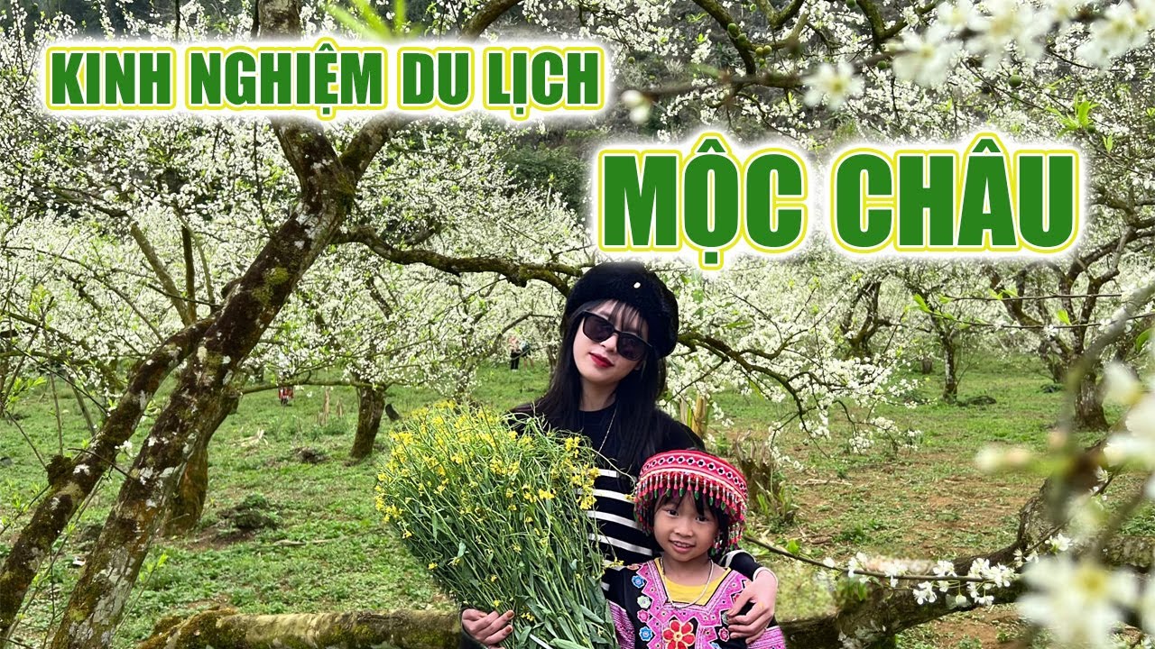 KINH NGHIỆM DU LỊCH MỘC CHÂU 3 NGÀY 2 ĐÊM 2024 TỰ TÚC ĐẦY ĐỦ KHÔNG THIẾU GÌ