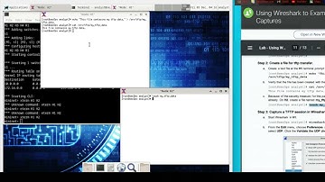 10.4.3 Lab - Using Wireshark to Examine TCP and UDP Captures