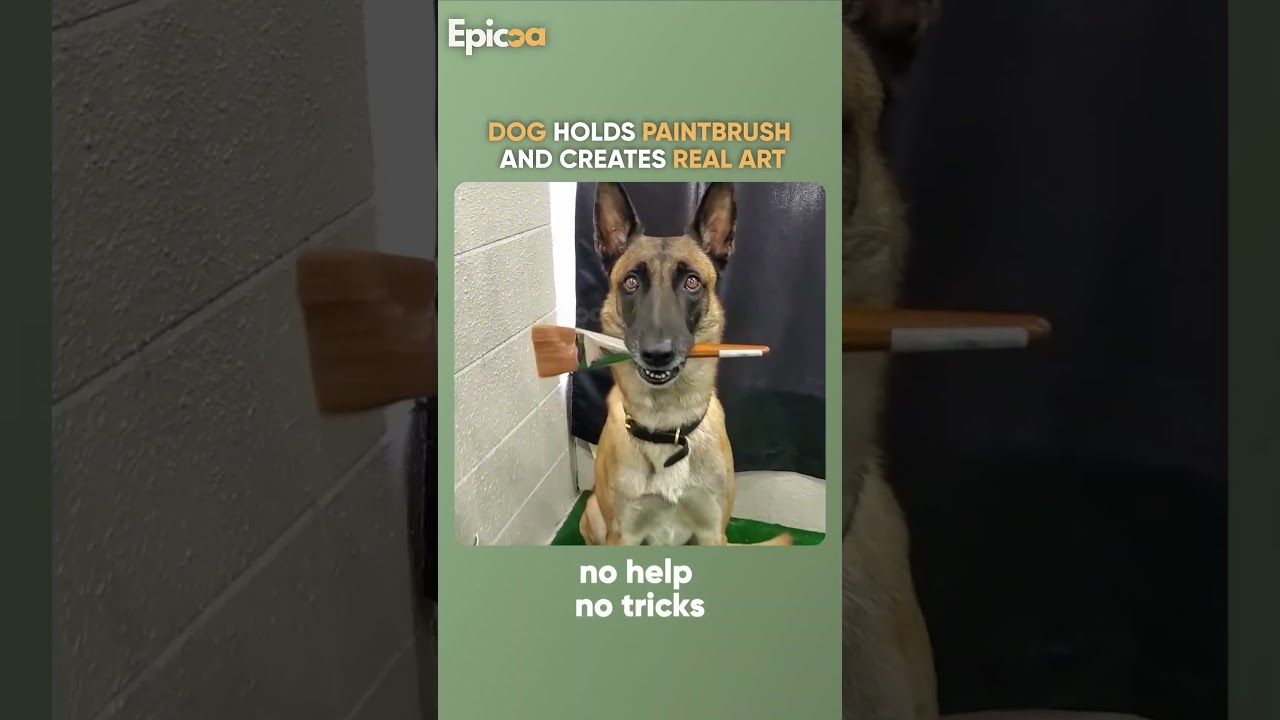 Dog holds paintbrush and creates real art 