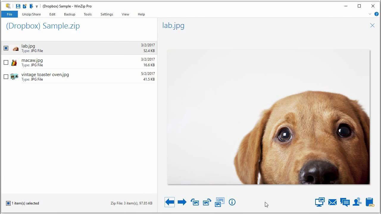 How to convert a jpg from a zip file to a pdf in WinZip YouTube