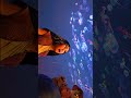 Epic Fantasy Animation |MagicalCinematic Adventure in 4K#Fantasy #Animation #Cinematic #4K#Epic
