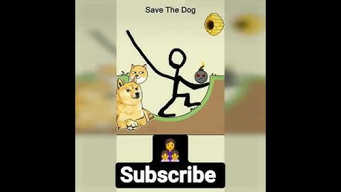 NOOB vs PRO vs HACKER - Save the Doge