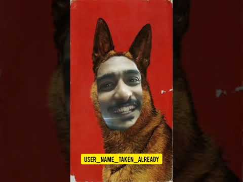 Types of Dogs - Mini Sketch Video
