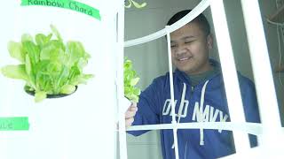 St. Vincent Catholic Elementary School - Green STEM Program