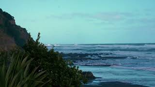 Muriwai | Maukatia Bay