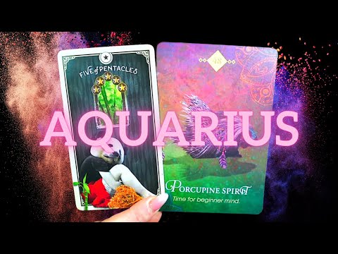 SEAHAWKS SQUAD SHOW: The Seattle Seahawks are GOING TO THE SUPER BOWL!