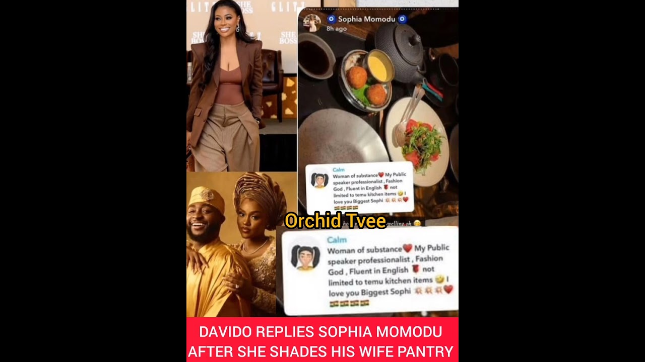 See How davido replied Sophia momodu after she publicly dragged him for posting his wife's Pantry 